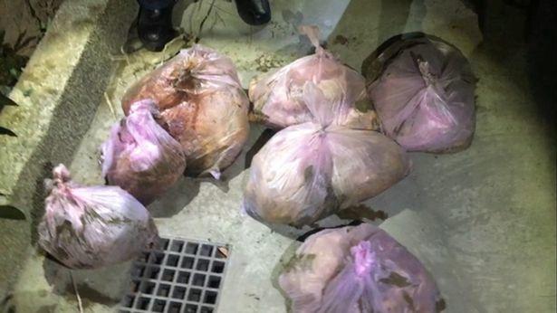 İdmançı bakirə çıxmayan sevgilisini doğradı: "Mənə yalan danışdı" - FOTOLAR