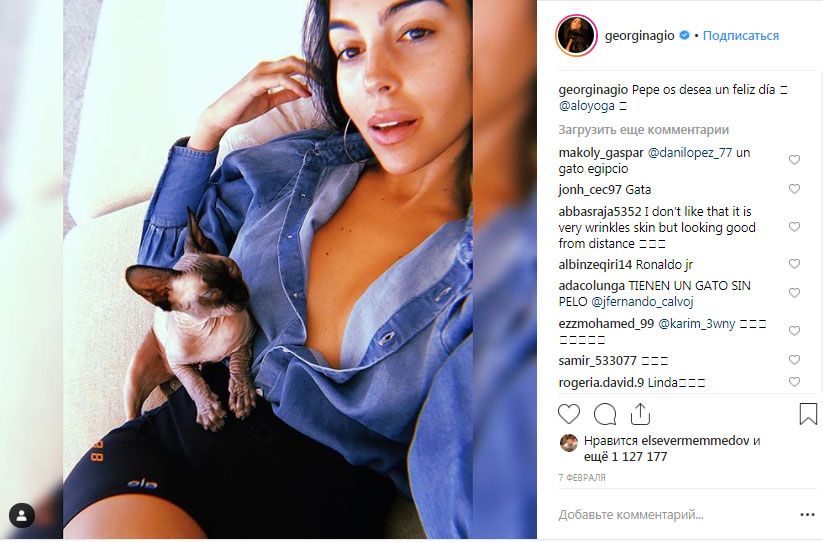 Ronaldo pişiyinə komanda yoldaşının adını qoydu - FOTO
