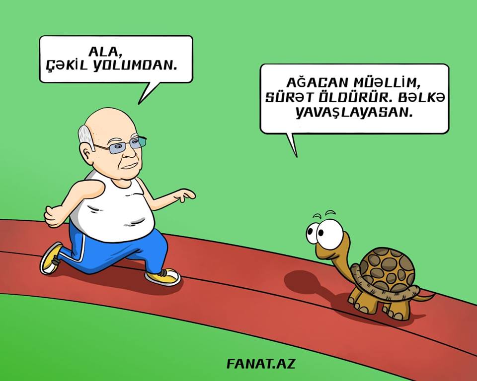 "Ağacan məllim, bəlkə bir az yavaşlayasız?" - KARİKATURA