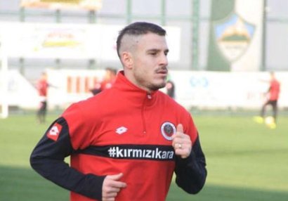 Millimizin üzvü \
