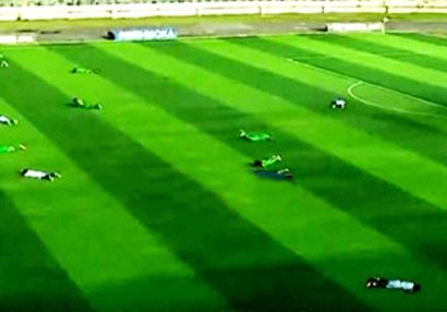 Arılar meydana hücum etdi, ara qarışdı - VİDEO