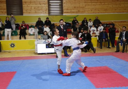 Karate üzrə açıq Zirvə birinciliyi keçirilib