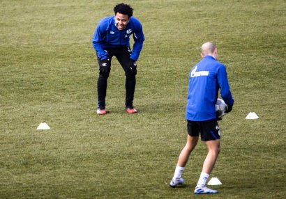 Bundesliqa klubu məşqləri bərpa etdi - FOTOLAR
