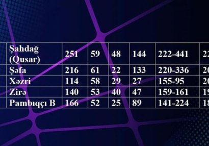28 illik tarixin 22-cisi