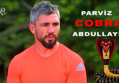 Pərviz Abdullayevin \