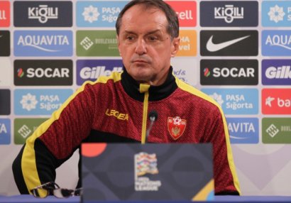 Faruk Hacibegiç: \