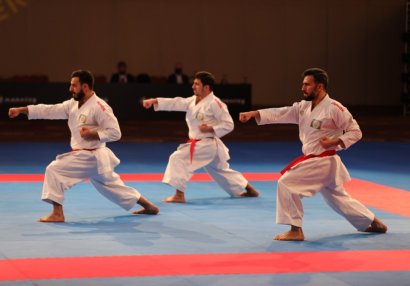 Karateçilərimiz İstanbulda 4 medal qazandı
