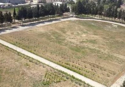 Sumqayıtda stadionun iki yerə bölünməsi ilə bağlı araşdırmalara başlanıldı