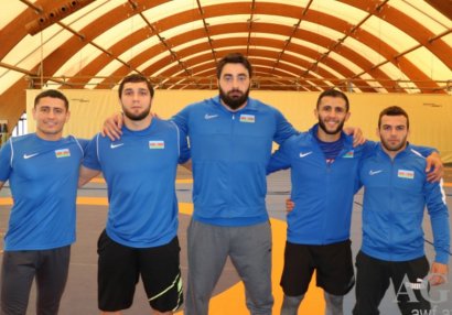 Millimizin lisenziya yarışı üçün heyəti açıqlandı