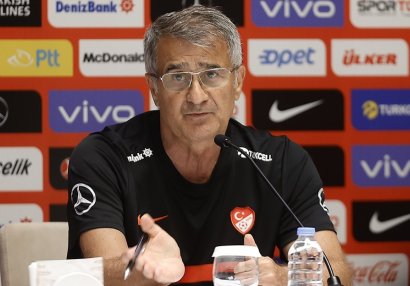 Şenol Güneş: \
