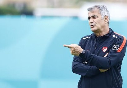 Şenol Güneş: \