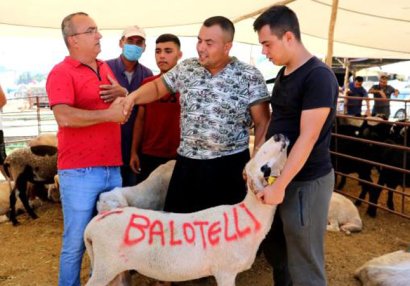 Qurbanlıq qoyunun üzərinə \