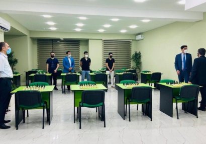 Fərid Qayıbov Vüqar Həşimov Şahmat Akademiyası ilə tanış oldu