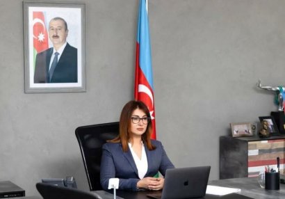 AMADA daha bir beynəlxalq layihəni uğurla həyata keçirtdi