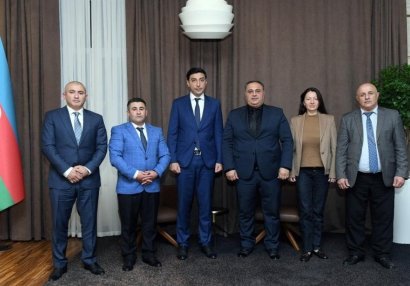 Fərid Qayıbov Azərbaycan Reqbi Federasiyasının rəhbərliyi ilə görüşdü