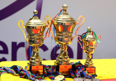 Cüdo üzrə Azərbaycan birinciliyi başa çatdı