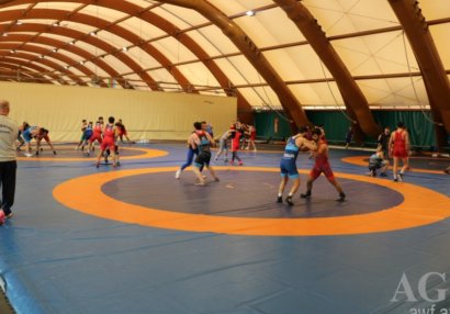 Yunan-Roma güləşçiləri Avropa çempionatına Bakıda hazırlaşır