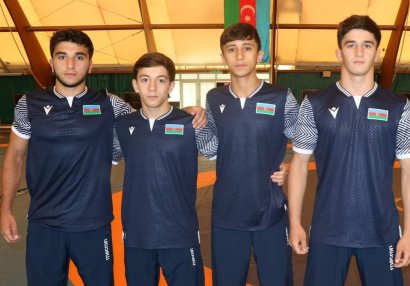 Daha üç sərbəst güləşçimiz Avropa çempionatının finalında