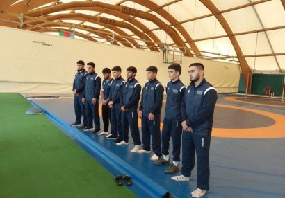 AÇ: Azərbaycan güləşçiləri itkisiz irəliləyir