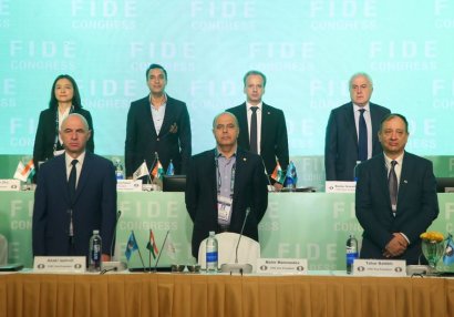 Mahir Məmmədov yenidən FIDE-nin vitse-prezidenti seçildi