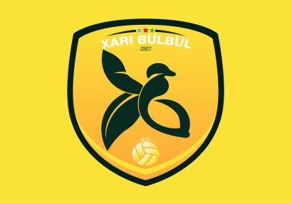 Azərbaycanda yeni klub yaradıldı