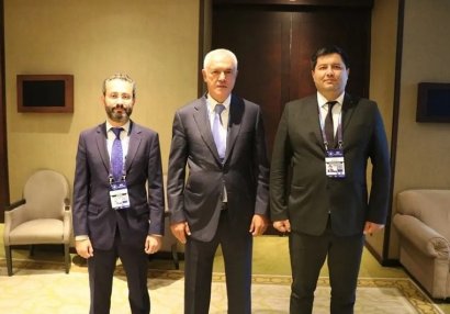 Namiq Əliyev yenidən Dünya Güləş Birliyinin Büro üzvü seçildi