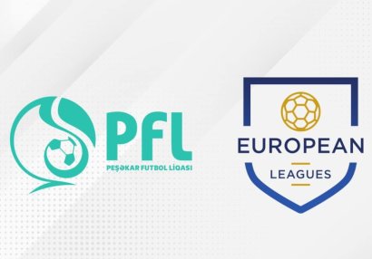 PFL prezidenti beynəlxalq seminarda iştirak edib