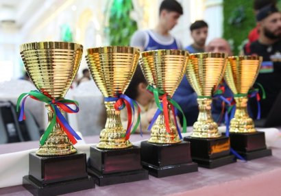 Azərbaycan çempionatlarının qalibləri bəlli oldu