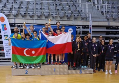 Stolüstü tennis millimiz Xorvatiyada gümüş medal qazandı