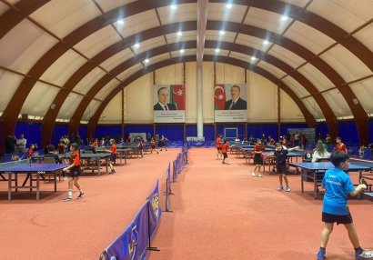 Stolüstü tennis üzrə ölkə çempionatının qalibləri bilindi