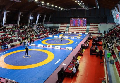 Azərbaycan millisinin Avropa çempionatı üçün heyəti açıqlandı