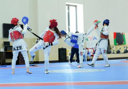 Azərbaycanın gənclərdən ibarət taekvondo millisinin üzvləri hazırlığa cəlb olunublar