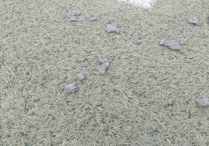 "Zaqatala"nın ev oyunlarını keçirdiyi stadion görənləri şoka salır - FOTO