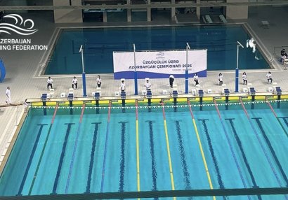 Üzgüçülük üzrə Azərbaycan çempionatında ilk günün qalibləri müəyyənləşdi