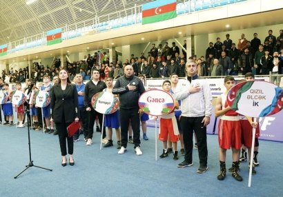 Ağacan Abiyevin şərəfinə həsr olunmuş boks turniri start götürdü