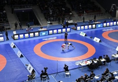 Sərbəst güləş üzrə Azərbaycan çempionatında 5 çəki üzrə final görüşləri keçiriləcək
