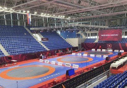 Azərbaycanın 5 güləşçisi Avropa çempionatında yarımfinala vəsiqə qazandı
