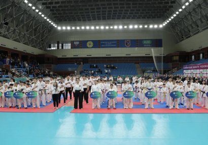Mirəli Seyidovun xatirəsinə həsr olunmuş karate turniri başa çatdı