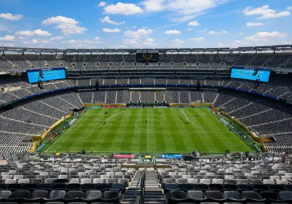 FİFA finalın keçiriləcəyi stadionun qazonunu satır - Rekord gəlir əldə ediləcək