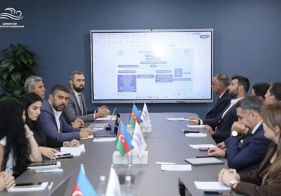 Bakıda keçiriləcək üzgüçülük üzrə Dünya Kubokuna hazırlıq məsələləri müzakirə olunub