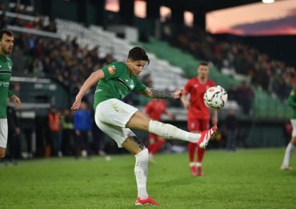 Zamiq Albaniyada 4 qola şahid oldu