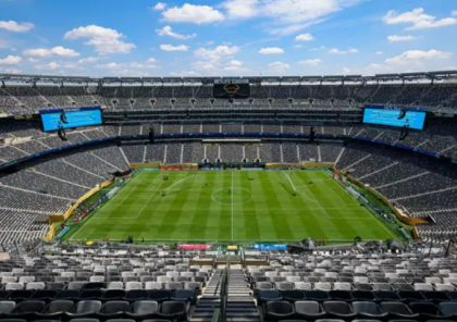 FİFA finalın keçiriləcəyi stadionun qazonunu satır - Rekord gəlir əldə ediləcək