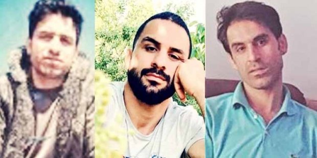Asim Mollazadə İranda edama məhkum edilən çempionu müdafiə etdi