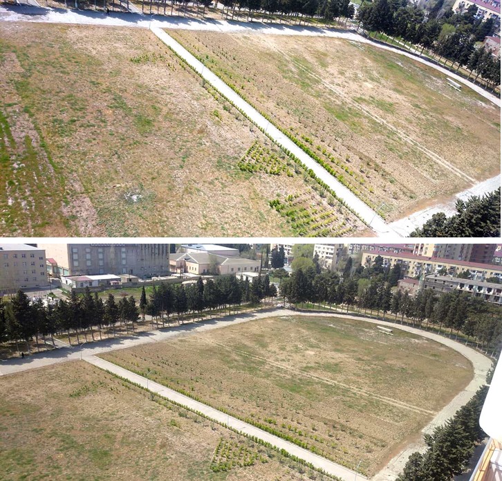 Azərbaycanda stadionu bostana çevirirlər? - FOTO