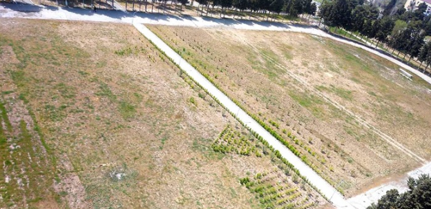 Universitetdən stadion açıqlaması: "Heç kimdən icazə almamışıq"
