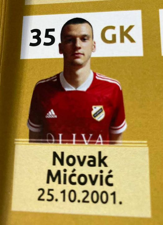 Miçoviçin oğlu Azərbaycana gələcək